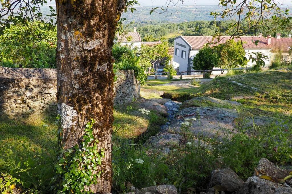 Apartament El Bosque De Los Romanos Puerto de Béjar Zewnętrze zdjęcie