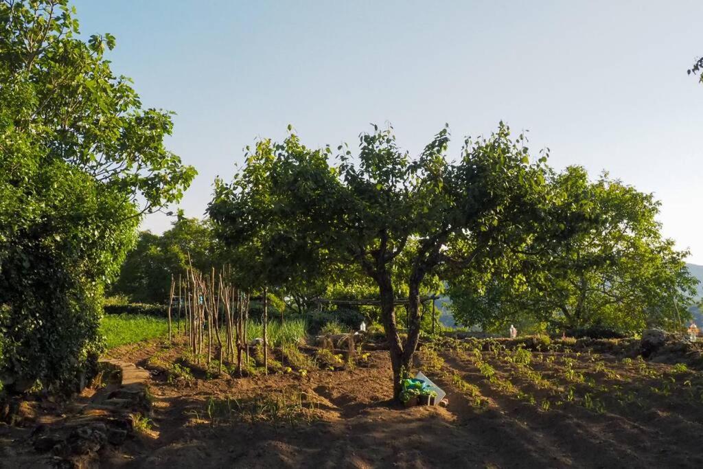 Apartament El Bosque De Los Romanos Puerto de Béjar Zewnętrze zdjęcie